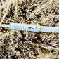 Animotics Probiotic Paste